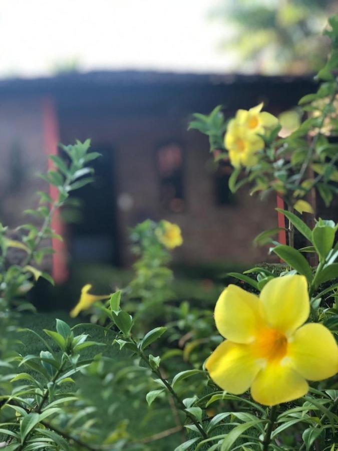 Pousada Do Riacho Barreirinhas Dış mekan fotoğraf